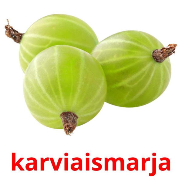 Крыжовник карточки для детей