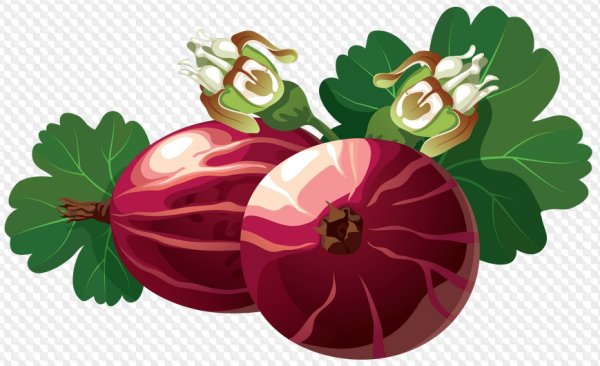 Мультяшные крыжовник