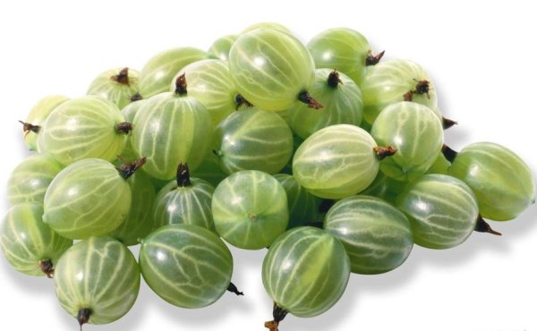 Черника и крыжовник и смородина