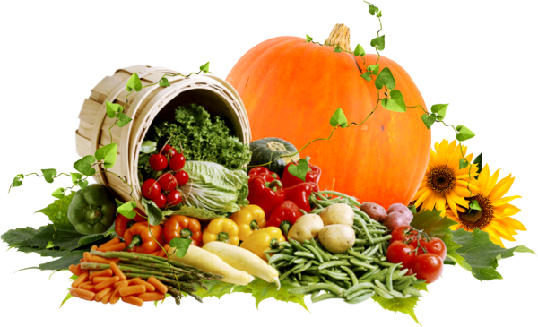 Урожай без фона