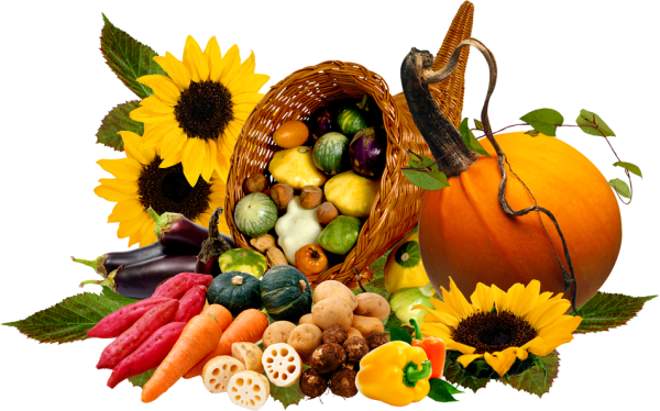 Урожай клипарт