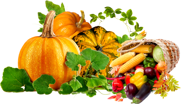 Корзины с яблоками