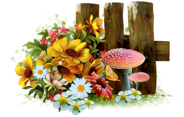 Яблоко на прозрачном фоне