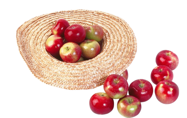 Осенние овощи на прозрачном фоне