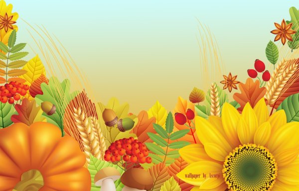 Осенние фрукты на белом фоне