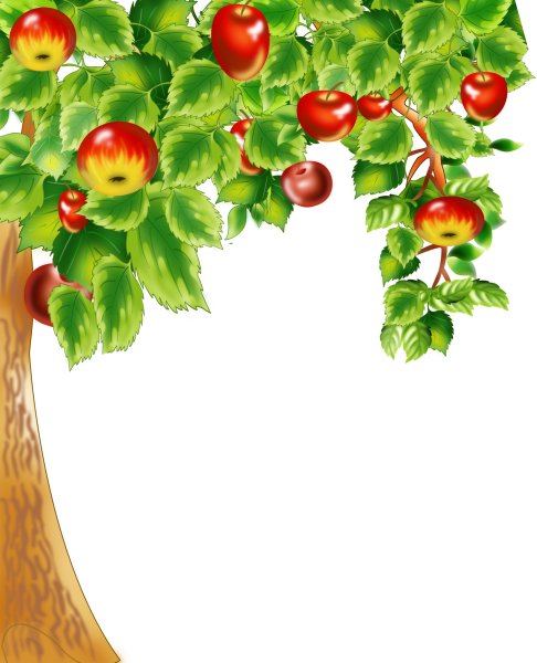 Осенняя композиция на прозрачном фоне