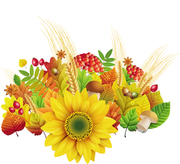 Осенние плоды на прозрачном фоне