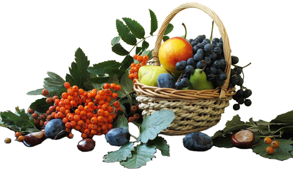 Август клипарт на прозрачном фоне