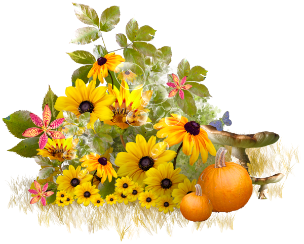 Август клипарт на прозрачном фоне