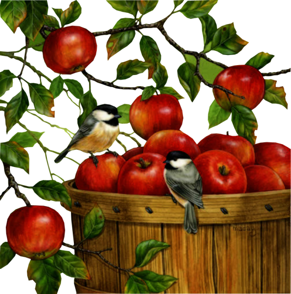 Август клипарт на прозрачном фоне