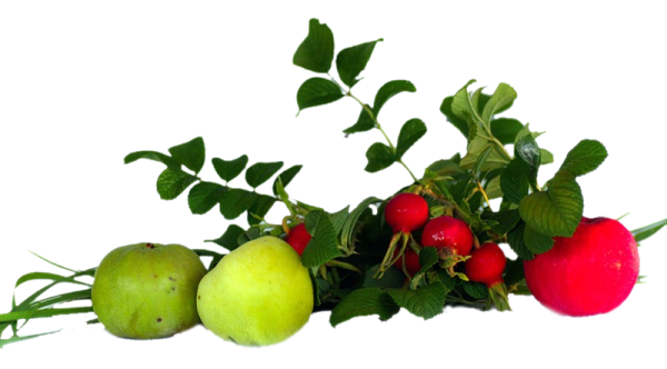 Красивая надпись лето