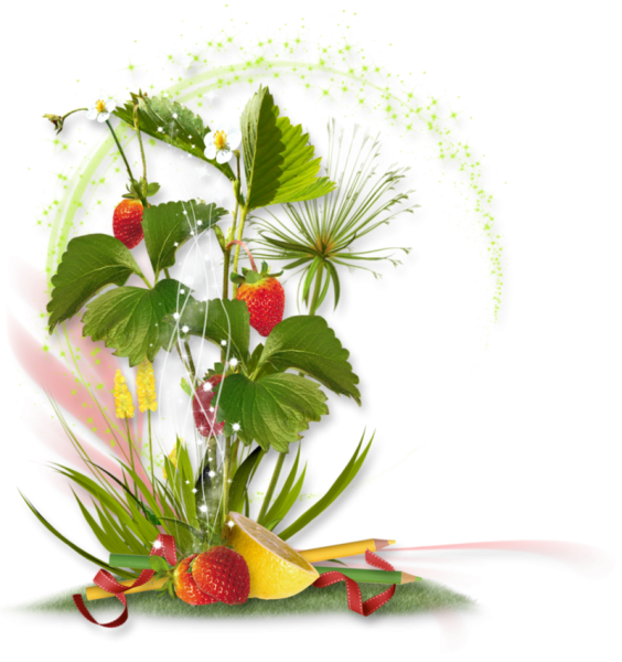 Корзина с грибами