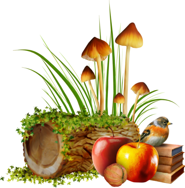 Ваза с овощами и фруктами