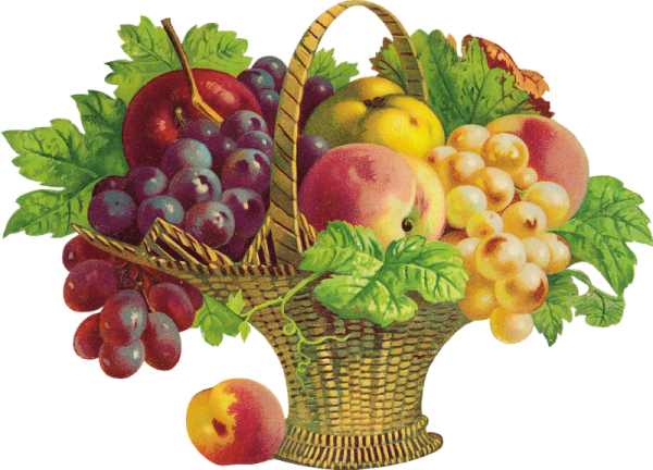 Рамка урожай