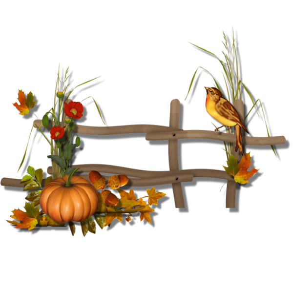 Осенние кластеры