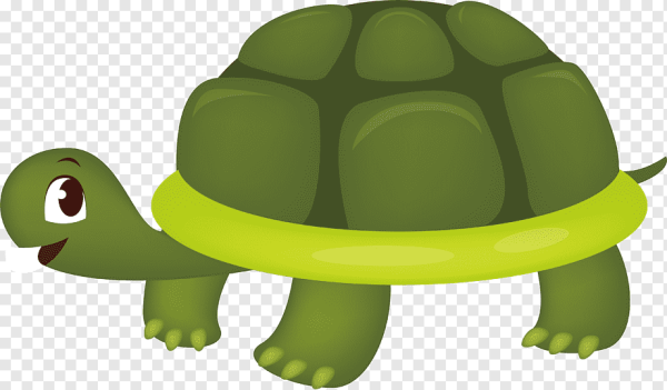 Черепаха для детей