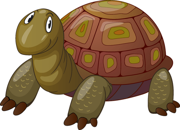 Черепаха Clipart