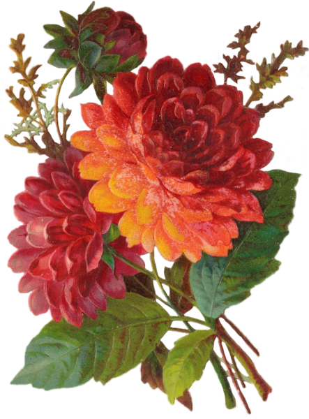 Осенние цветы для детей