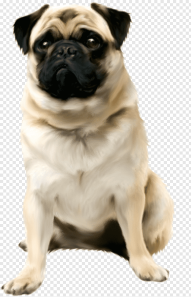 Педигри Мопс