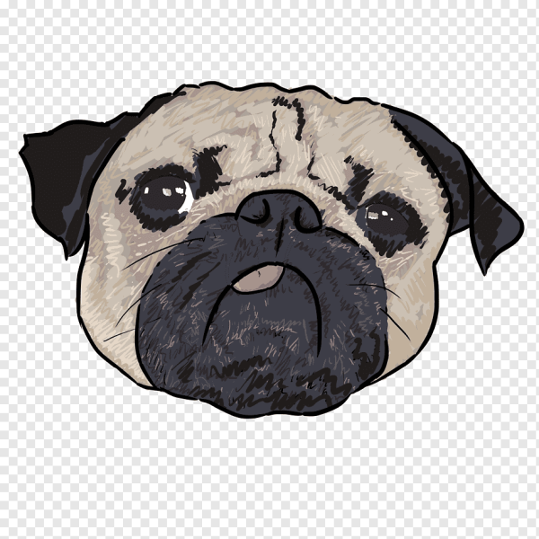 Голова МОПСА