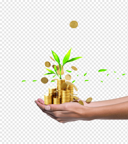 Инвестиции руки