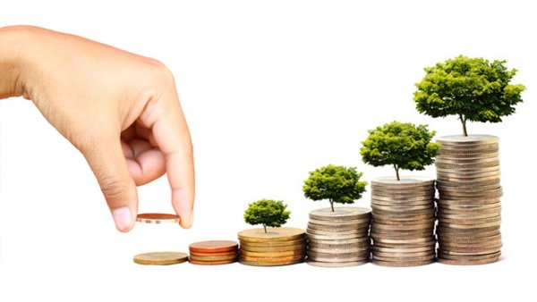 Экология и деньги