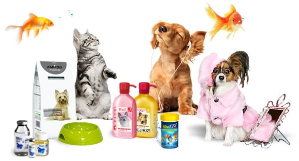 Зоомагазин баннер