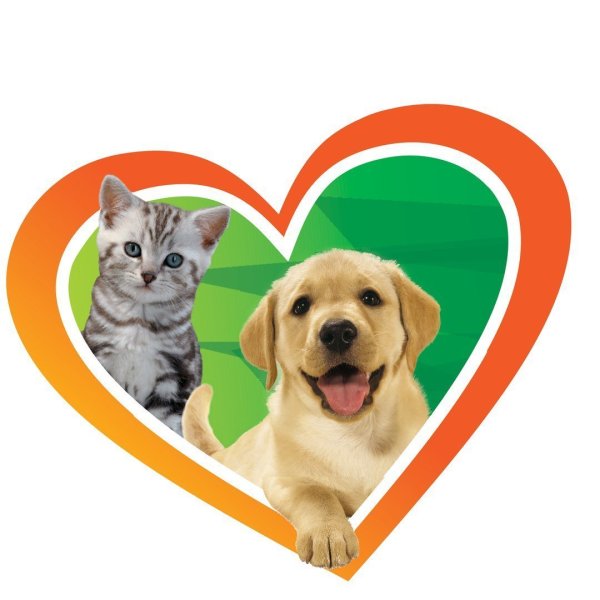 Животные Ветеринария