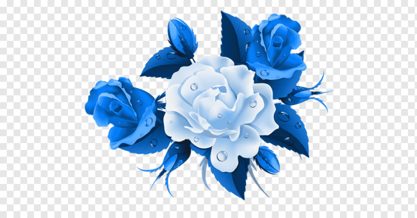 Синие розы вектор