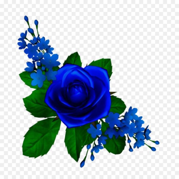 Синие цветы на прозрачном фоне