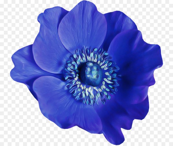 Синие цветочки