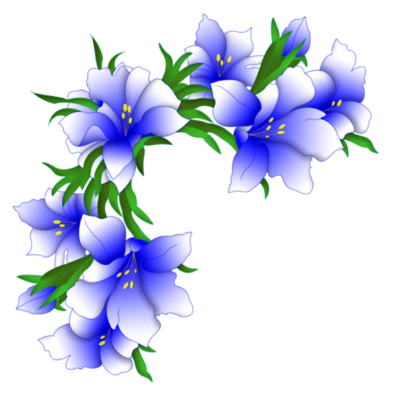 Цветы угловые