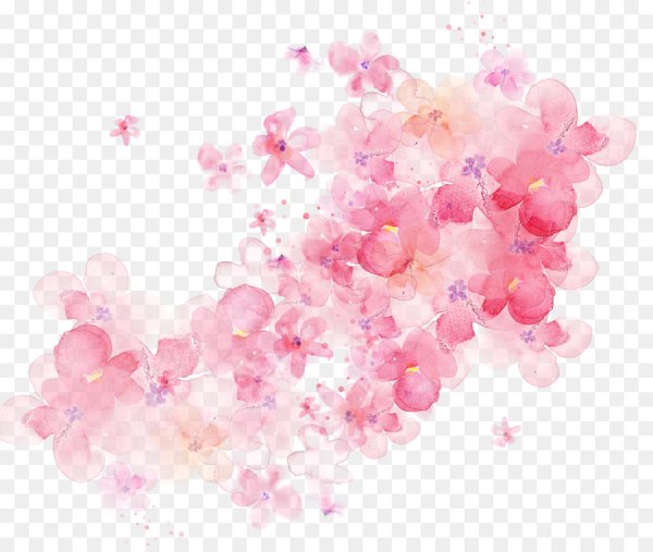 Розовые цветы на прозрачном фоне