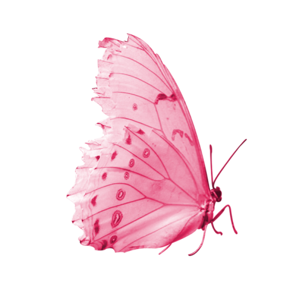 Розовые бабочки