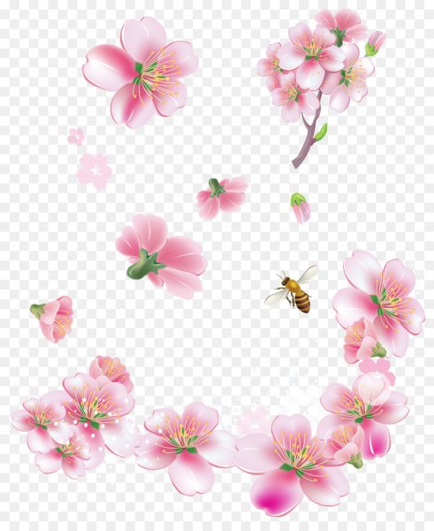 Цветочки на прозрачном фоне