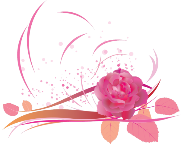 Розовые цветы на прозрачном фоне