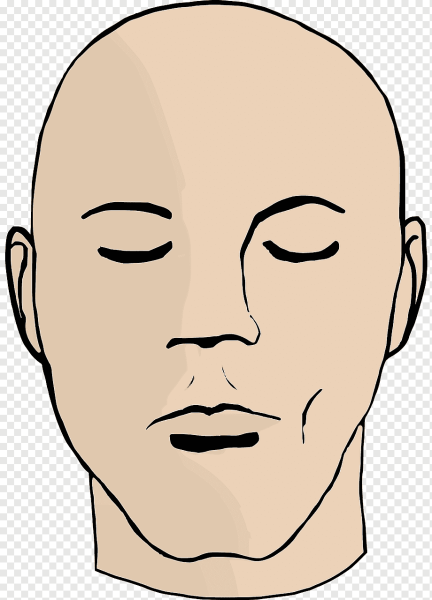 Голова человека