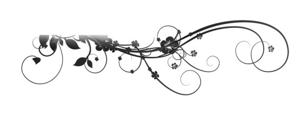 Красивые линии