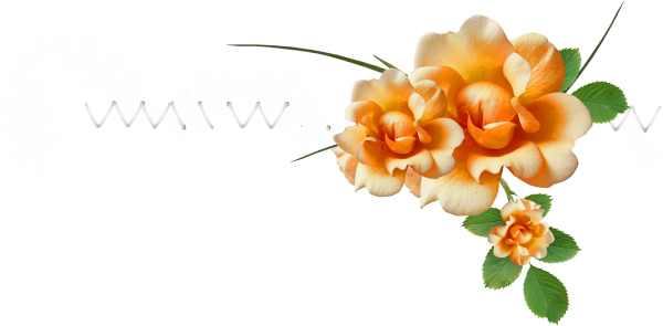 Разделители цветы на прозрачном фоне