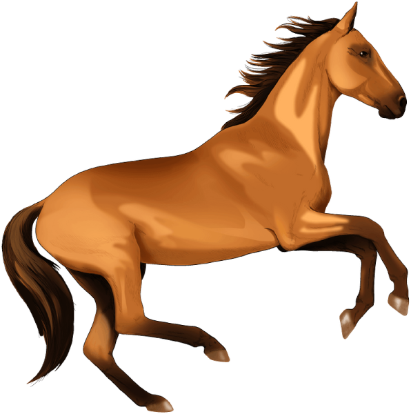 Лошадь клипарт