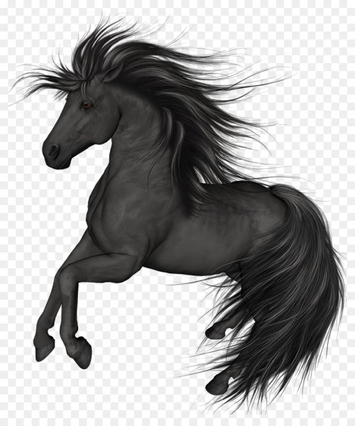 Красивая лошадь на белом фоне