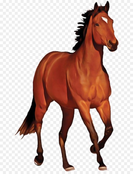 Лошадь клипарт
