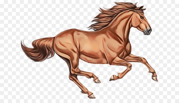 Бегущий конь на белом фоне