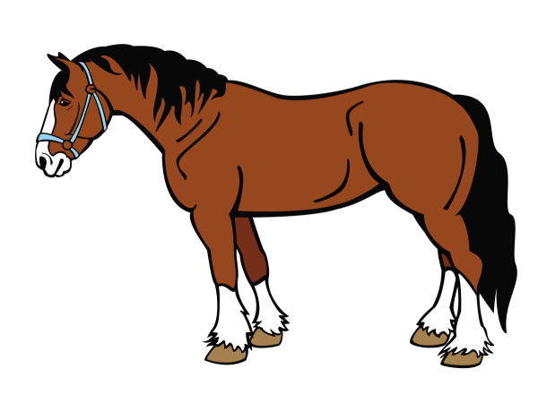 Конь мультяшный