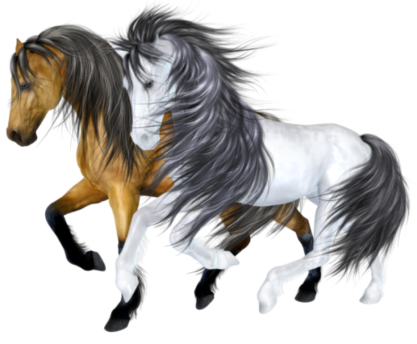 Красивая лошадь на прозрачном фоне