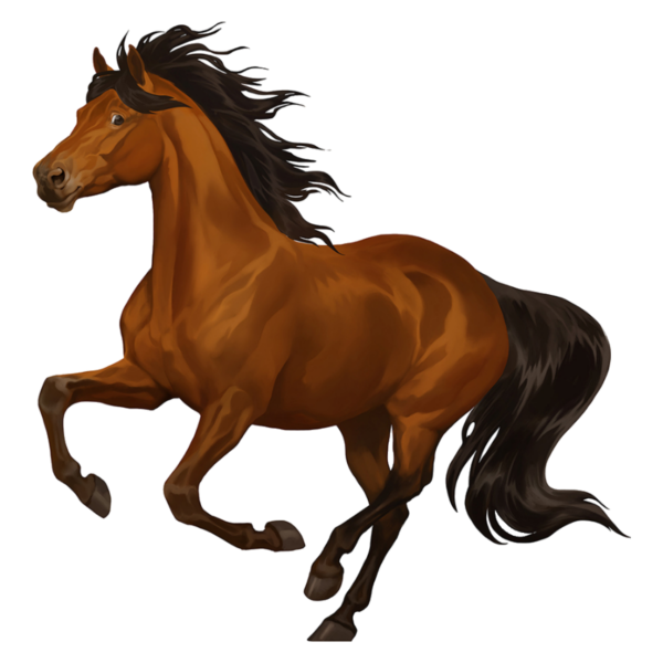 Лошадь рисунок