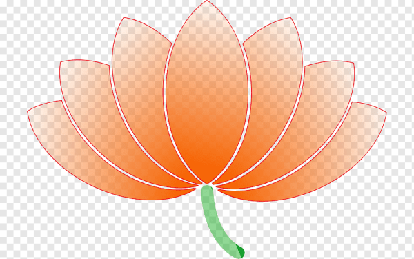 Векторные лепестки