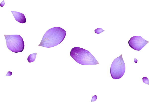 Сиреневые лепестки