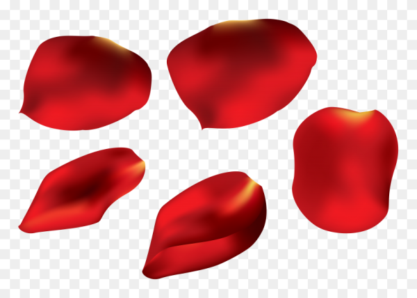 Красные лепестки на прозрачном фоне