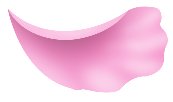 Розовые лепестки